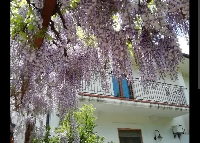 Apartment Domus Pacis